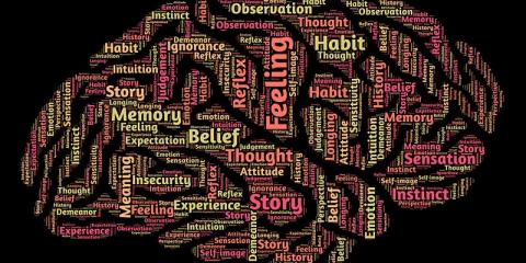 Pictured: positive mental health word cloud in shape of brain